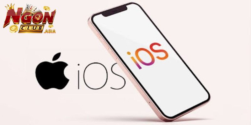 Hướng dẫn tải Ngonclub trên hệ điều hành IOS