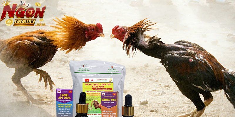 Khi nào cần bổ sung vitamin cho gà