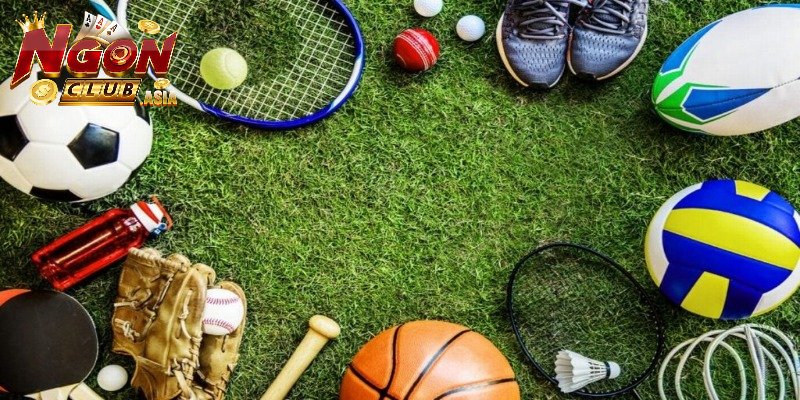 Một số bộ môn thể thao Ngonclub phổ biến