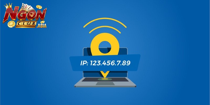 Sử dụng địa chỉ IP cố định