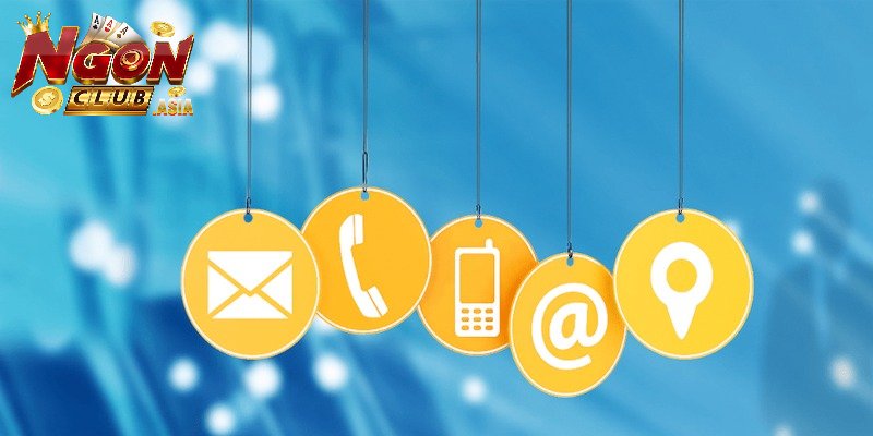 Trường hợp nên liên hệ Ngonclub