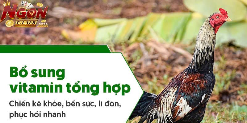 Vai trò của những vitamin cho gà
