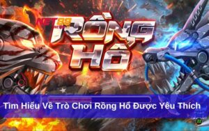 Hướng Dẫn Chơi Rồng Hổ Online Cho Người Mới Bắt Đầu