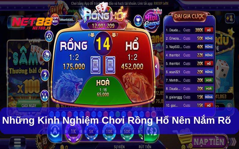 Kinh nghiệm chơi Rồng Hổ
